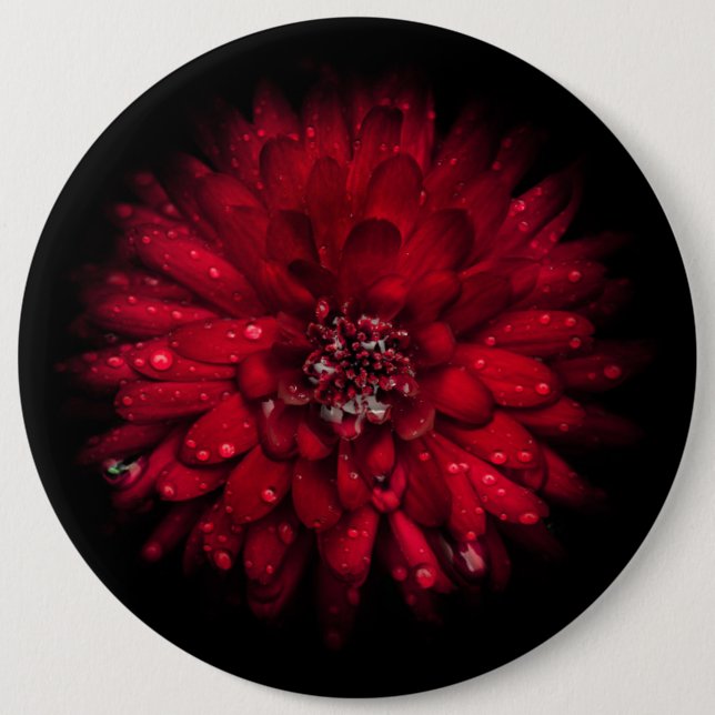 Badge Rond 15,2 Cm Fleurs de Jardin N° 45 Version Couleur (Devant)