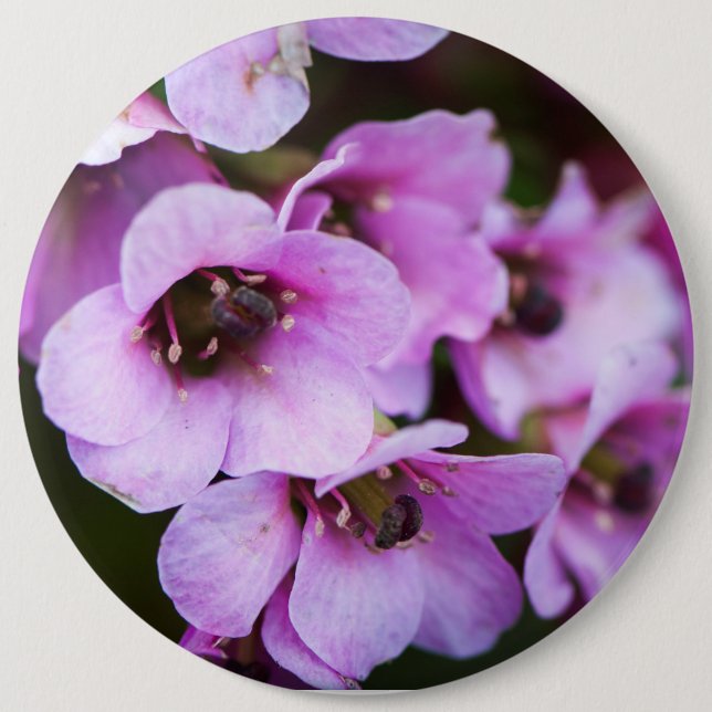 Badge Rond 15,2 Cm Fleurs sauvages violets (Devant)