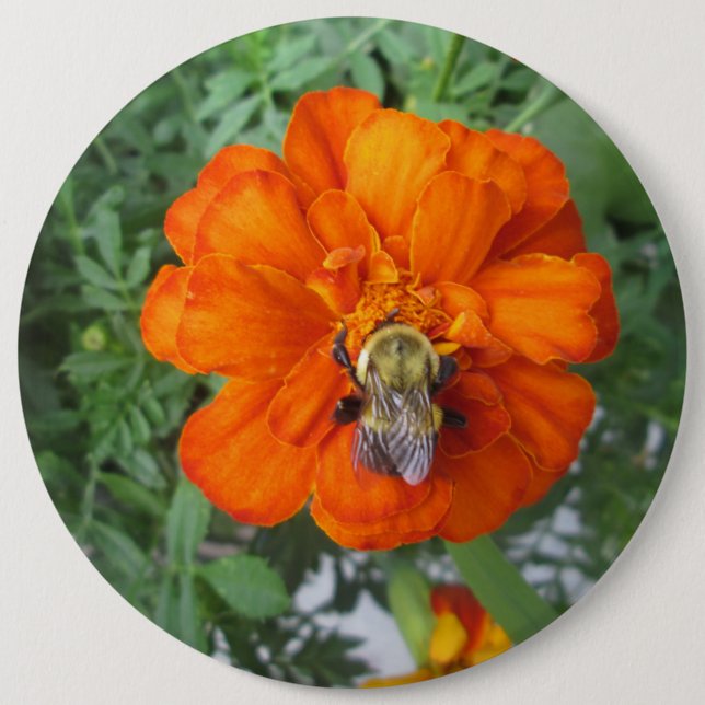 Badge Rond 15,2 Cm Flower orange (Devant)