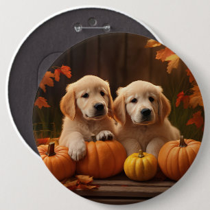 Badge Rond 15,2 Cm Golden Retriever Puppy Automne Citrouille de plais