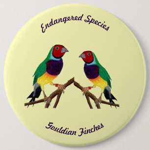 Badge Rond 15,2 Cm ~ Gouldian Finch ~ Art original ~ Bouton