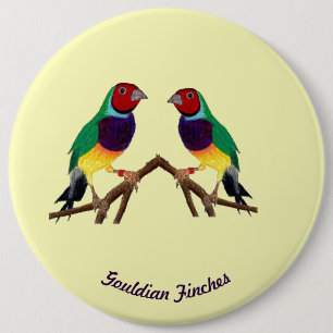 Badge Rond 15,2 Cm ~ Gouldian Finch ~ Personnalisé ~