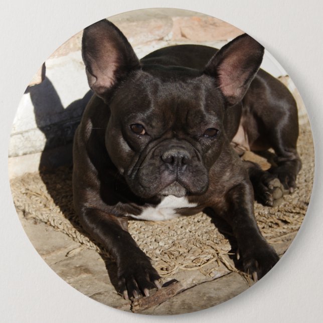 Badge Rond 15,2 Cm Grouchy French Bulldog (Devant)