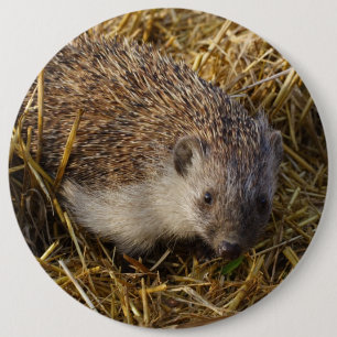 Badge Rond 15,2 Cm Hérisson mignon dans le champ de bouchon