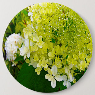 Badge Rond 15,2 Cm Hydrangea Limelight Vert Chartreuse Élégant