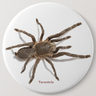 Badge Rond 15,2 Cm Insigne
