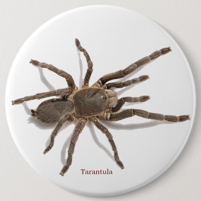 Badge Rond 15,2 Cm Insigne (Devant)