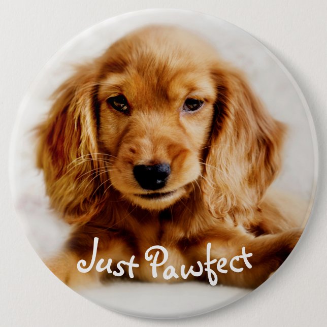 Badge Rond 15,2 Cm Insigne mignon de chien de cocker/Pin (Devant)