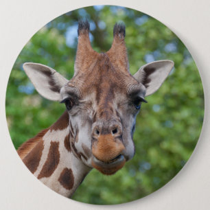 Badge Rond 15,2 Cm Jolie Giraffe Portrait