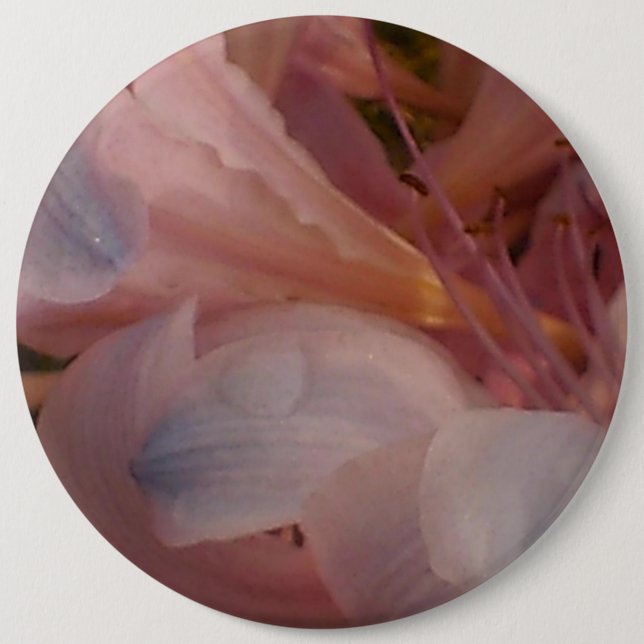 Badge Rond 15,2 Cm Lily rose (Devant)