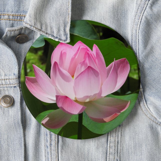 Badge Rond 15,2 Cm Lotus Bloom rose (En situation)