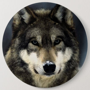 Badge Rond 15,2 Cm Loup