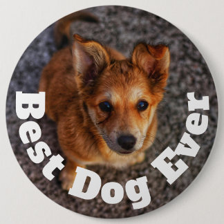 Badge Rond 15,2 Cm Meilleur Chien de Tous les Temps