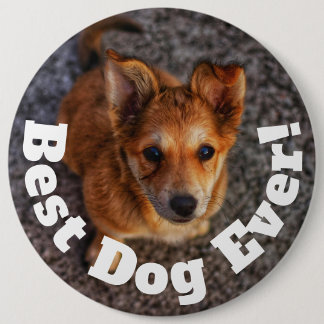 Badge Rond 15,2 Cm Meilleur Chien de Tous les Temps