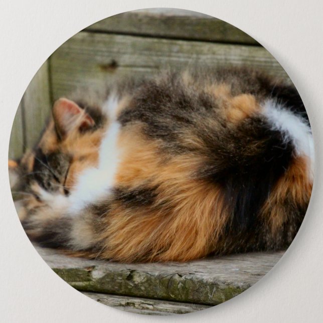 Badge Rond 15,2 Cm Naptime (Devant)