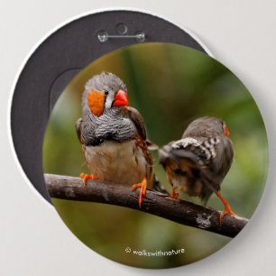 Badge Rond 15,2 Cm Paire Cheeky de Zebra Finches Songbirds
