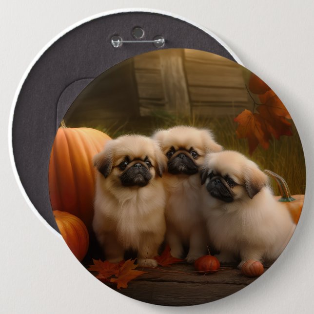 Badge Rond 15,2 Cm Pekingese Chiot Automne Citrouille délice (Devant & derrière)