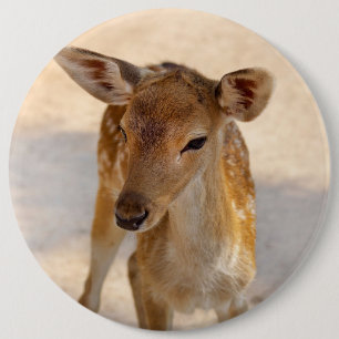 Badge Rond 15,2 Cm Photographie de cerfs fantaisistes en forêt
