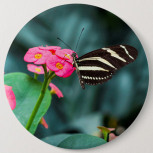 Badge Rond 15,2 Cm Photographie de papillon sur fleur rose