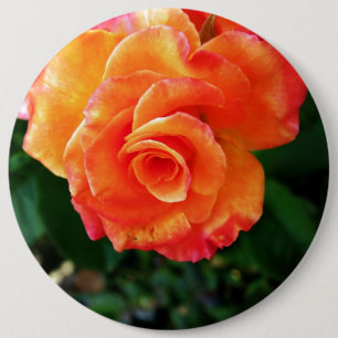 Badge Rond 15,2 Cm Photographie Rose Orange