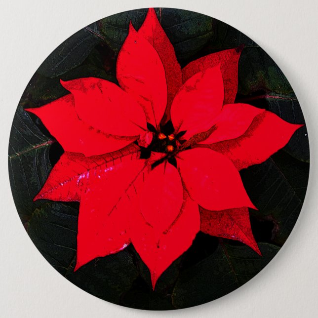 Badge Rond 15,2 Cm Poinsettia 6078 (Devant)