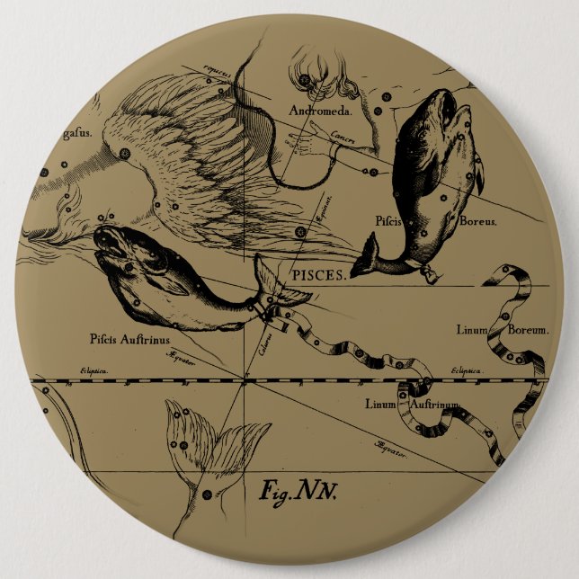 Badge Rond 15,2 Cm Poissons Constellation Hevelius vers 1690 (Devant)