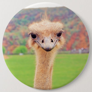 Badge Rond 15,2 Cm Portrait d'Ostrich
