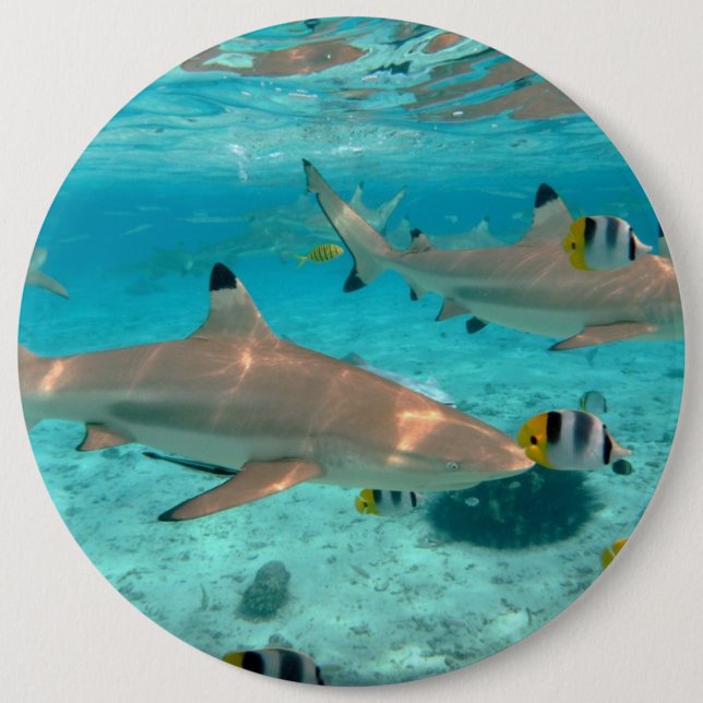 Badge Rond 15,2 Cm Requins dans la lagune de Bora Bora (Devant)
