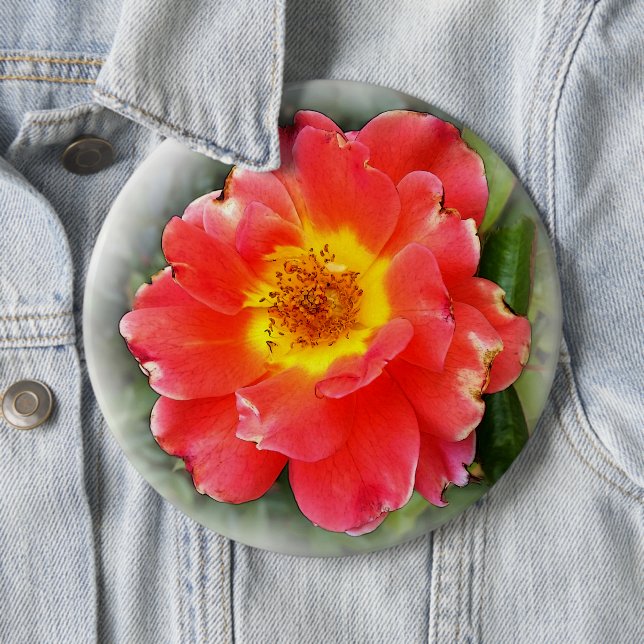Badge Rond 15,2 Cm Rose en automne (En situation)