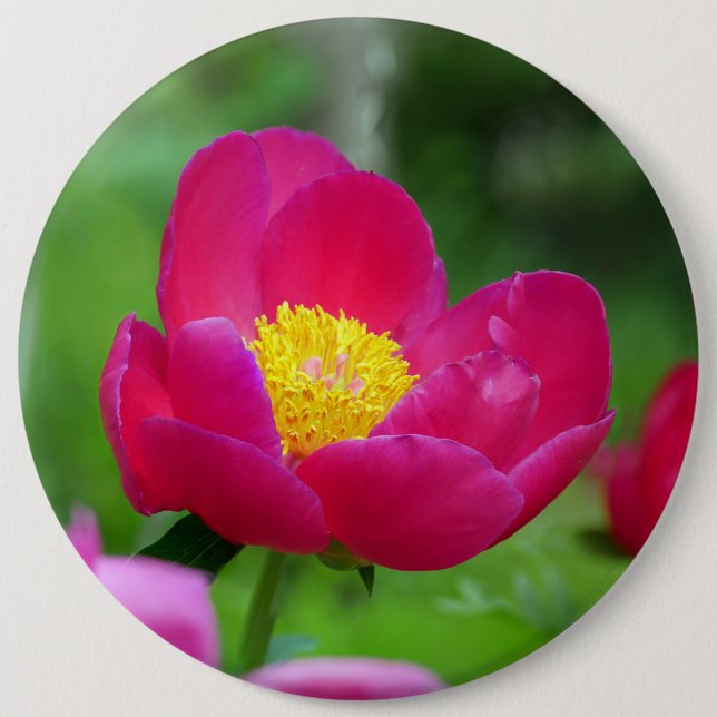 Badge Rond 15,2 Cm Rose rose chaud (Devant)