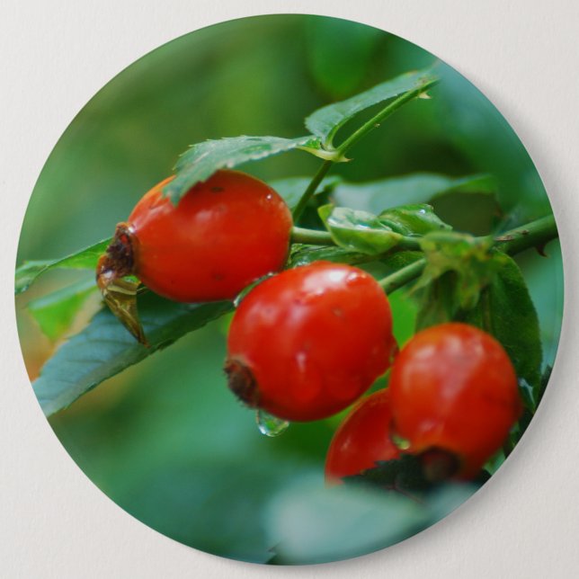 Badge Rond 15,2 Cm Rosehip après la pluie (Devant)