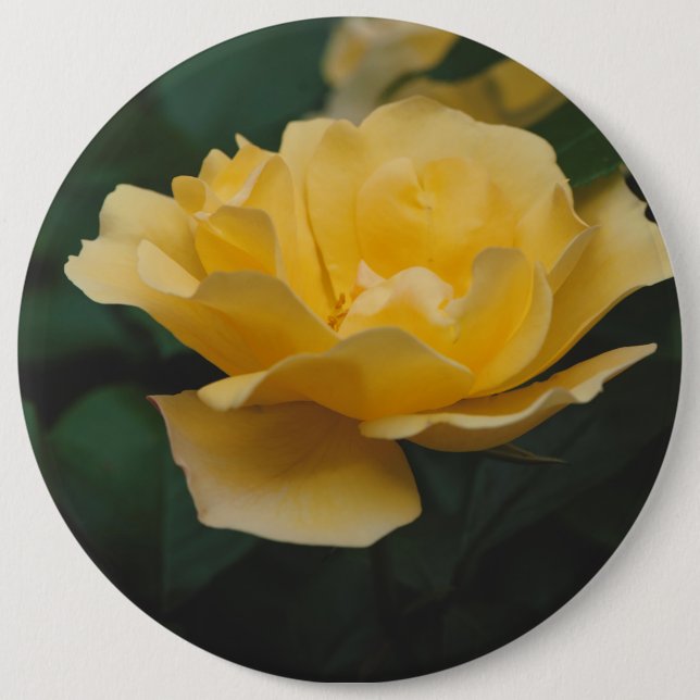 Badge Rond 15,2 Cm Roses jaunes (Devant)