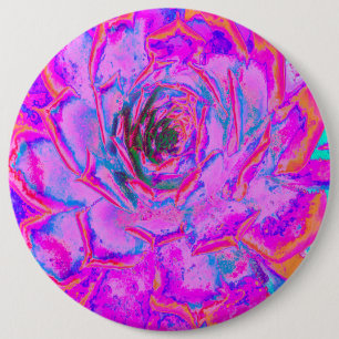 Badge Rond 15,2 Cm Rosette Succulente pourpre et magenta