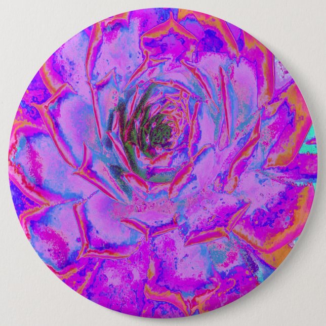 Badge Rond 15,2 Cm Rosette Succulente pourpre et magenta (Devant)