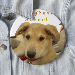 Badge Rond 15,2 Cm Sagesse d'or : Une vision oeil de chien de l'école