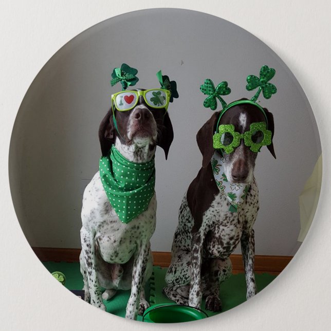 Badge Rond 15,2 Cm Saint Patrick's Day Dogs Party Grand Bouton rond (Devant)