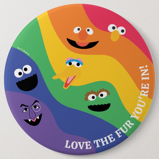Badge Rond 15,2 Cm Sesame Street Pals Rainbow (Devant)
