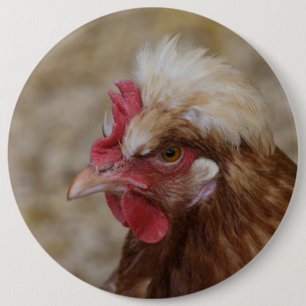 Badge Rond 15,2 Cm Sulmtaler Hen