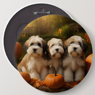 Badge Rond 15,2 Cm Tibétain Terrier Chiot Automne Citrouille délice
