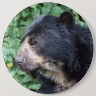 Badge Rond 15,2 Cm Tremarctos ornatus