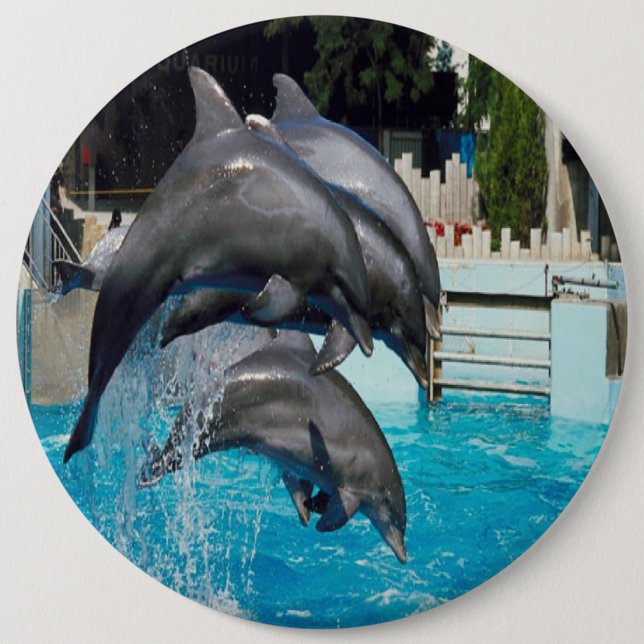 Badge Rond 15,2 Cm Trio-de-dauphins, bouton (Devant)