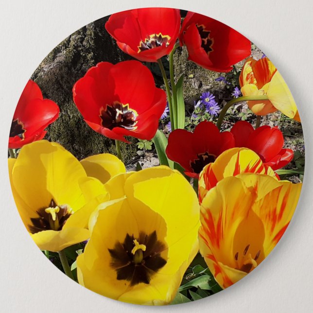 Badge Rond 15,2 Cm Tulipes jaunes et rouges (Devant)