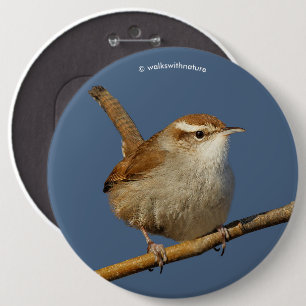 Badge Rond 15,2 Cm Un curieux Wren de Bewick's Wren dans l'arbre