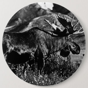 Badge Rond 15,2 Cm Vintage USA Alaska bull moose