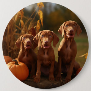 Badge Rond 15,2 Cm Vizsla Chiot Automne Citrouille délice