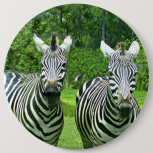 Badge Rond 15,2 Cm Zèbres dans le moment de pré