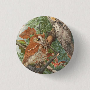 Badge Rond 2,50 Cm 2 chouettes vintages en colère dans un arbre