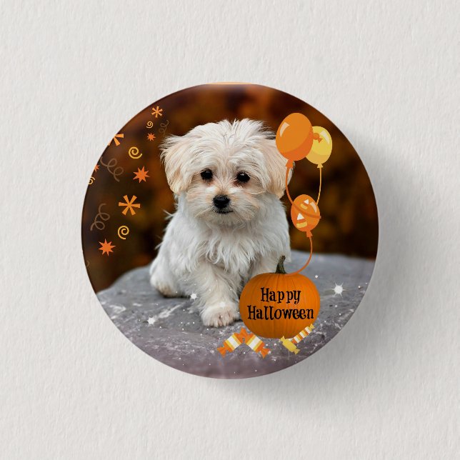 Badge Rond 2,50 Cm Adorable chiot maltais fête Halloween (Devant)
