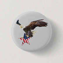 Aigle chauve drapeau américain