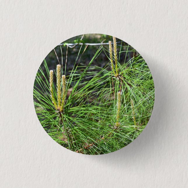 Badge Rond 2,50 Cm Aiguilles de pin par Kenneth Yoncich (Devant)